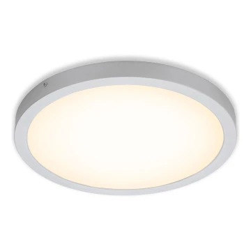 Briloner 7143-014 - LED Ceiling light FIRE LED/24,5W/230V 3000K