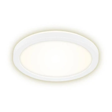 Briloner 7150-416 - LED Ceiling light SLIM LED/12W/230V d. 19 cm