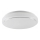 Ceiling light BOGDAN 2xE27/20W/230V d. 33 cm white