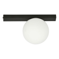 Ceiling light FIT 1xE14/10W/230V black/white