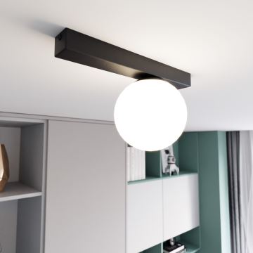 Ceiling light FIT 1xE14/10W/230V black/white