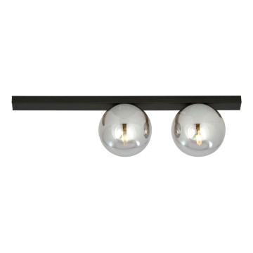 Ceiling light FIT 2xE14/10W/230V black/grey