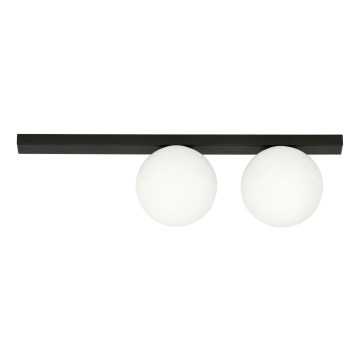 Ceiling light FIT 2xE14/10W/230V black/white