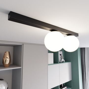 Ceiling light FIT 2xE14/10W/230V black/white