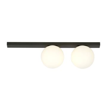 Ceiling light FIT 2xE14/10W/230V black/white