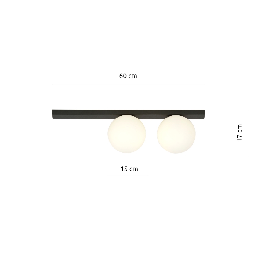 Ceiling light FIT 2xE14/10W/230V black/white