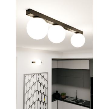 Ceiling light FIT 3xE14/10W/230V black/white