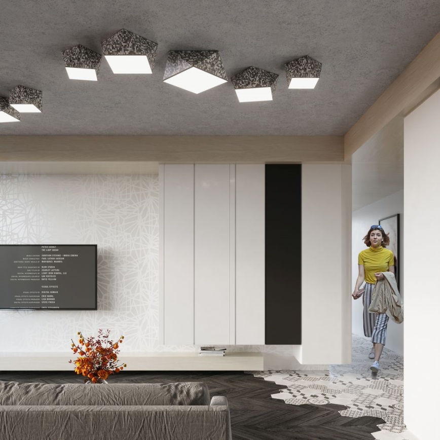 Ceiling light HEXA 2xE27/60W/230V silver