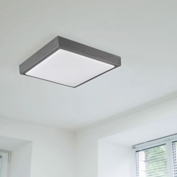 Ceiling light KAZIMIERZ 2xE27/20W/230V 29,5x29,5 cm black