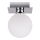 Ceiling light ODEN 1xG9/40W/230V