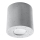 Ceiling light ORBIS 1xGU10/10W/230V concrete