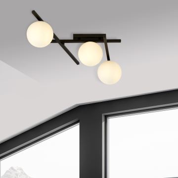 Ceiling light SMART 3xE14/10W/230V black/white