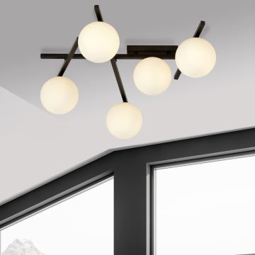 Ceiling light SMART 5xE14/10W/230V black/white