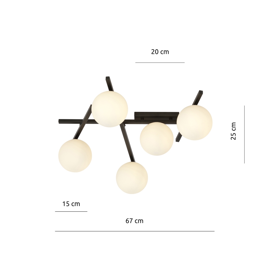 Ceiling light SMART 5xE14/10W/230V black/white