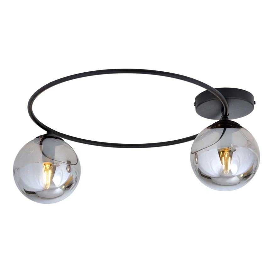 Ceiling light SOPRA 2xE14/10W/230V black