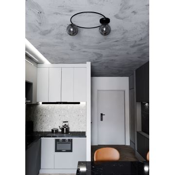 Ceiling light SOPRA 2xE14/10W/230V black