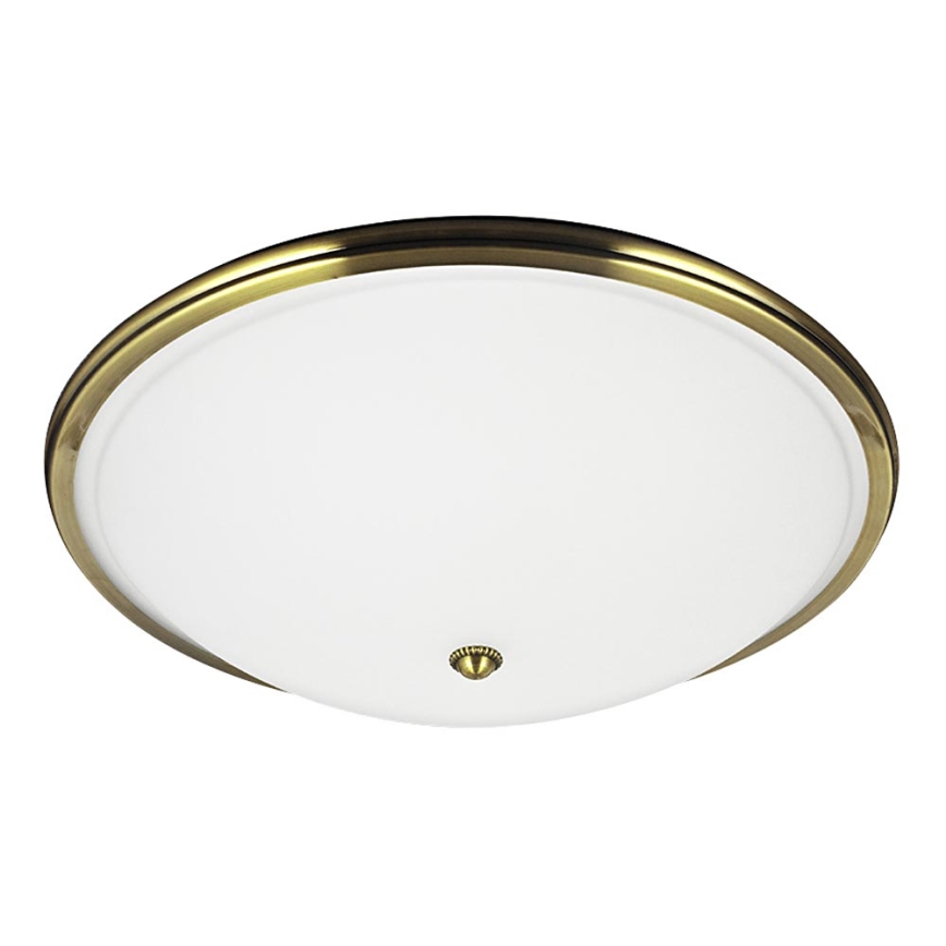 Ceiling light VIOLA 2xE27/40W/230V