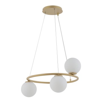 Chandelier on a string GAMA 3xG9/12W/230V gold