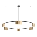 Chandelier on a string GENESIS 15xGU10/8W/230V gold