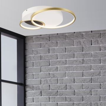 Dimmable ceiling light BENITO LED/31W/230V 3000-6500K white/gold