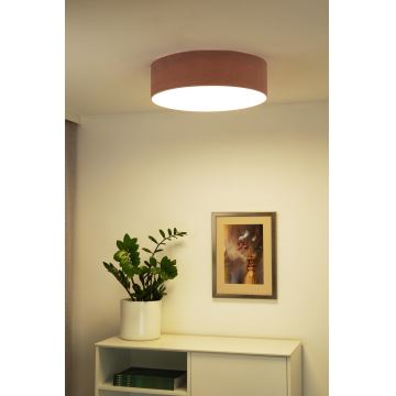 Duolla - LED Ceiling light CORTINA LED/26W/230V d. 30 cm 4000K pink