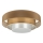 Duolla - LED Ceiling light LUNETA LED/26W/230V d. 60 cm 4000K brown/gold/white