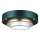 Duolla - LED Ceiling light LUNETA LED/26W/230V d. 60 cm 4000K green/gold/white