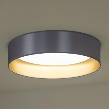 Duolla - LED Ceiling light ROLLER LED/24W/230V silver/gold