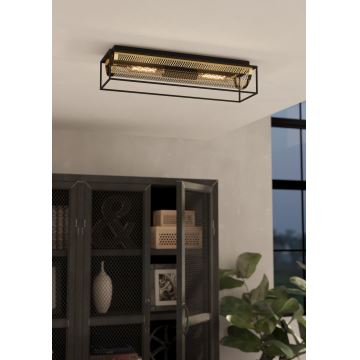 Eglo - Ceiling light 2xE27/40W/230V