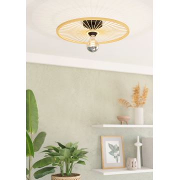 Eglo - Ceiling light 1xE27/40W/230V