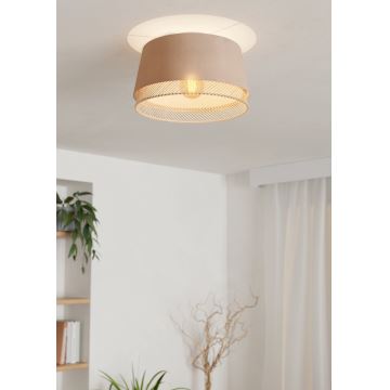 Eglo - Ceiling light 1xE27/40W/230V