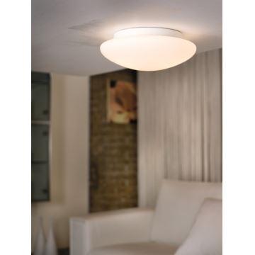 Eglo - Ceiling light 1xE27/60W/230V