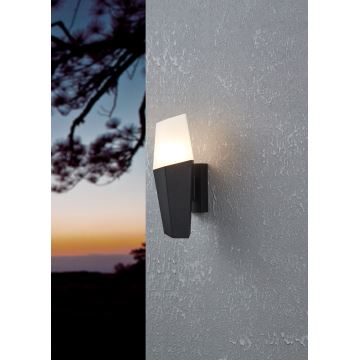 Eglo - Outdoor wall light 1xE27/25W/230V IP44