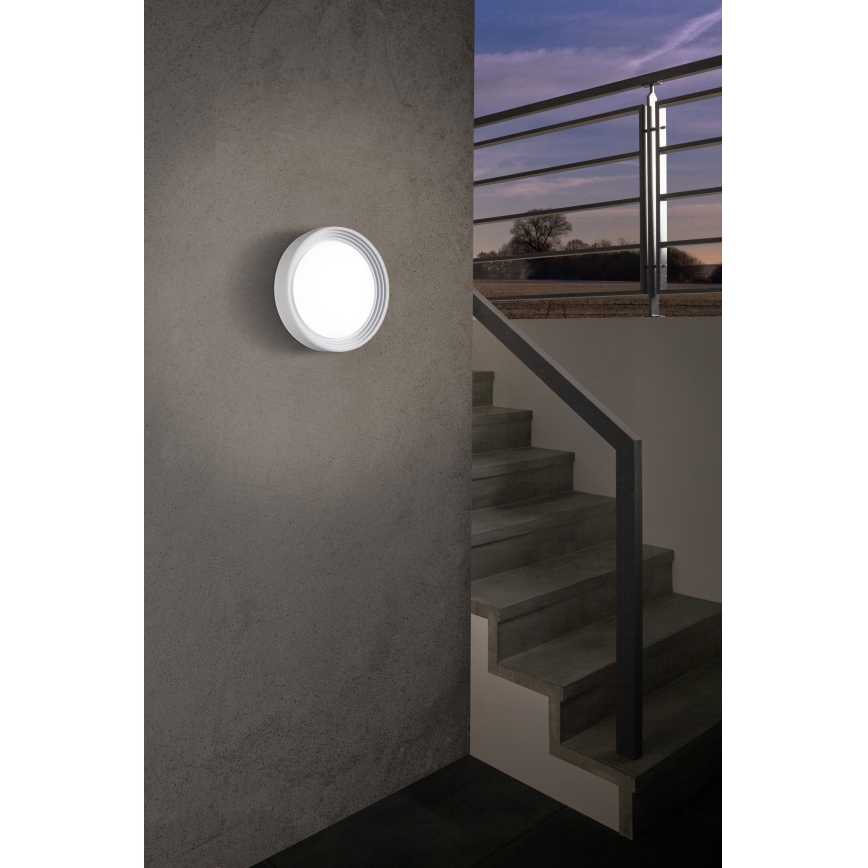 Eglo - LED outdoor light 1xLED/8.2W/230V