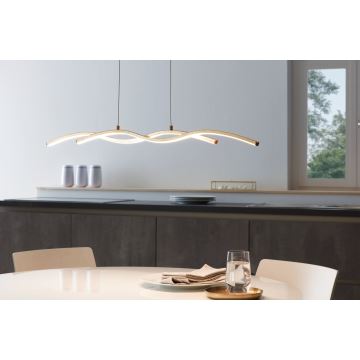 Eglo - LED chandelier on a string 2xLED/8,5W/230V