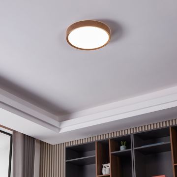 Eglo - LED Ceiling light LED/33,5W/230V