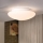 Eglo - Ceiling light 1xE27/60W/230V