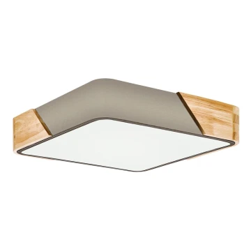 Eglo - Ceiling light 2xE27/28W/230V