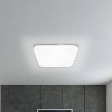 Eglo - LED Ceiling light LED/11,5W/230V