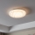 Eglo - LED Ceiling light LED/14,6W/230V