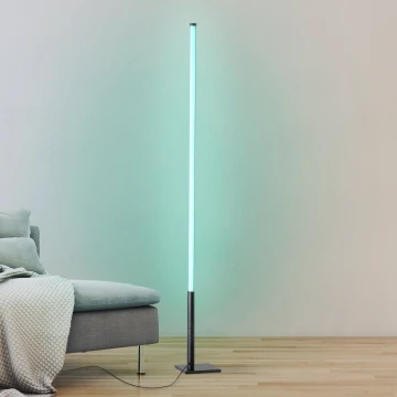Eglo - LED RGB Dimmable floor lamp LED/13,5W/230V 2700-6500K + remote control