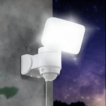 Eglo - LED Solar wall light with sensor LED/3,7V IP44