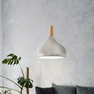 Eglo - Pendant light 1xE27/60W/230V d. 28 cm silver