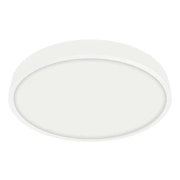 Emithor 49035 - LED Bathroom ceiling light LENYS LED/12W/230V d. 140 mm IP44