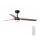 FARO 33817-21 - LED Ceiling fan PUNT LED/24W/230V 3000/4000/6500K wood/black + remote control