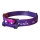 Fenix HM65RDTNEB -LED Rechargeable headlamp LED/USB IP68 1500 lm 300 h purple/pink