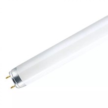 Tube fluorescent LED T8 G13/18W/230V 4000K 120 cm