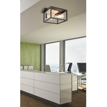 Globo - Ceiling light 1xE27/60W/230V