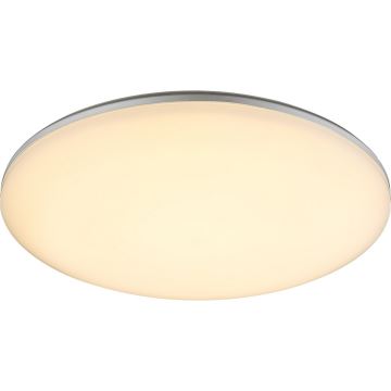 GLOBO 32118-24 - Outdoor LED ceiling light DORI 1xLED/24W/230V