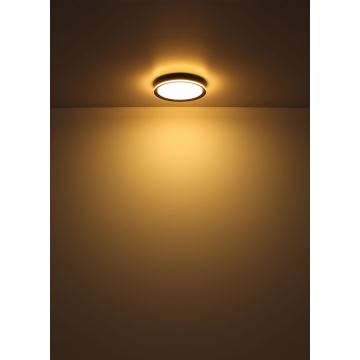 Globo - LED Ceiling light LED/30W/230V d. 30 cm